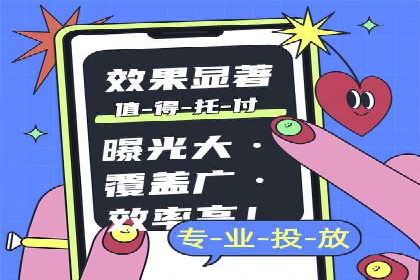 百度SEO推广公司经典之作：打造行业领先品牌